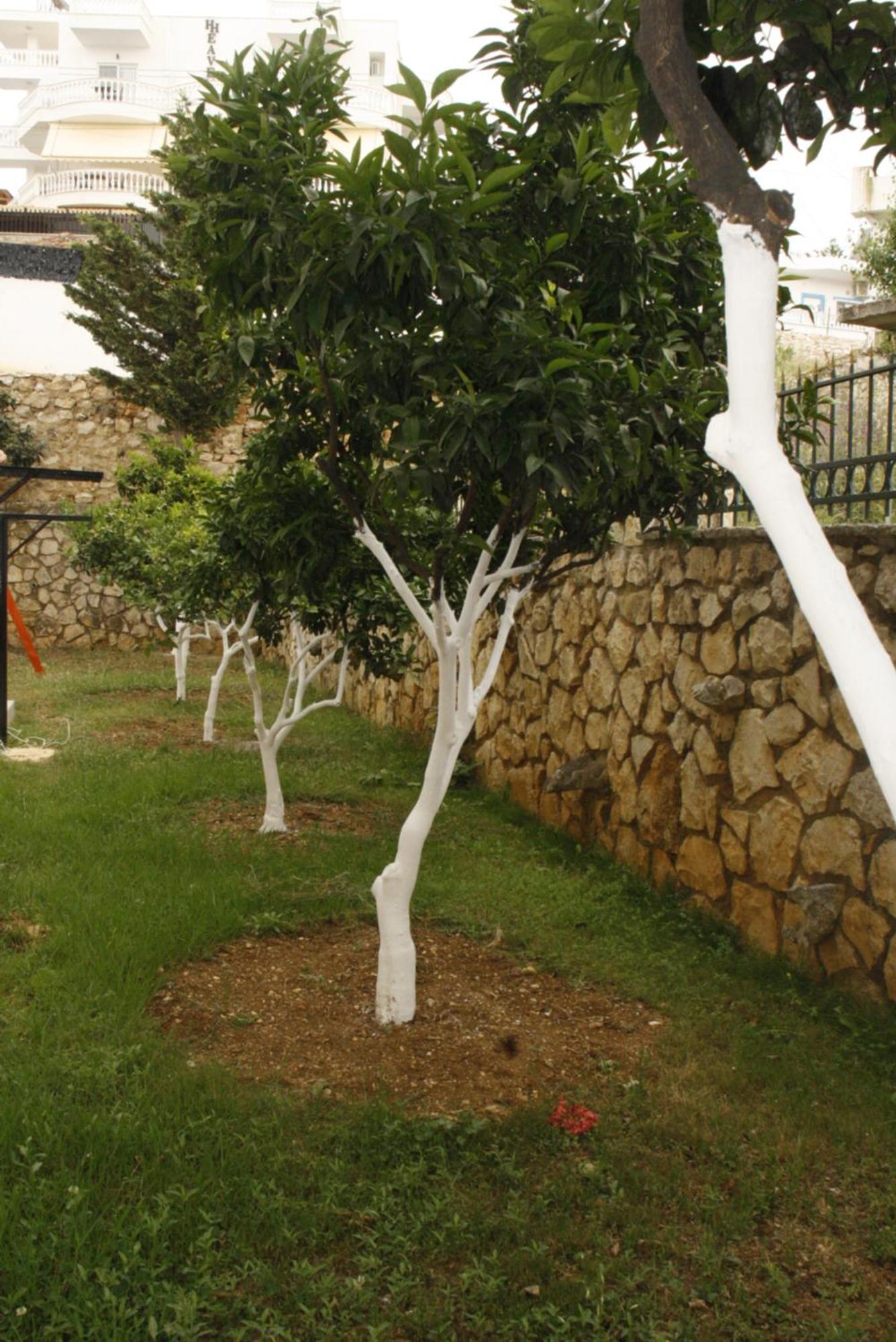 Villa Kreshta Ksamil Esterno foto